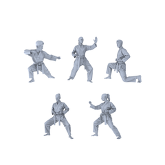 MRY-SFW LYTR560 Modern Dojo Karate Practitioners Pose Group of 5 Miniature Car Diorama Figures Scene Props Accessories Resin 3D Printed Resin Model Kit by SSMODEL