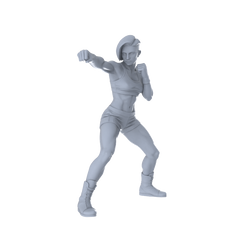 MRY-SFW LYTR570B Modern Combat Style Punching Female Single 1pc 3D Printed Resin Model Kit by SSMODEL