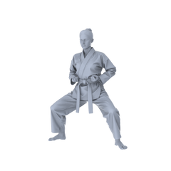 Detail view of MRY-SFW LYTR560 Modern Dojo Karate Practitioners Pose Group of 5 Miniature Car Diorama Figures Scene Props Accessories Resin Model
