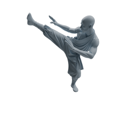 Detail view of MRY-SFW LYTR1076 Kung Fu Martial Monk Character Modern Model 3 pcs Model