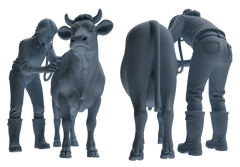Detail view of MRY-SFW LYTR912 Farm Veterinarian with Livestock Modern Model 4 pcs Model