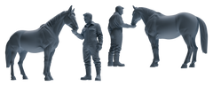 Detail view of MRY-SFW LYTR915 Farm Worker with Poultry and Horse Modern Model 3 pcs Model
