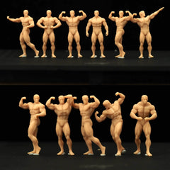 Classical Bodybuilding 11-Person Group LSSNO110 1/35/48/64/72/87/100/144