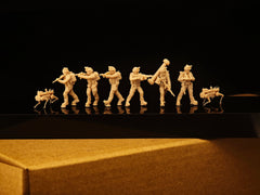 Modern Chinese Marine Corps Special Forces LSSNO314 1/35/48/64/72/87/100/144