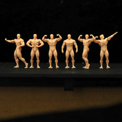 Classical Bodybuilding 11-Person Group LSSNO110 1/35/48/64/72/87/100/144