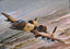 Trumpeter HOBBY BOSS 1/72 A-10A "Thunderbolt" II 80266
