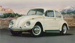 Hasegawa 21203 HC-3 1/24 Scale Model Car Kit VW Volkswagen Beetle Type 1 1967