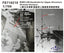 Five star 1/700 WWII IJN Handrails for Upper Structure(Precise Version) FS710210
