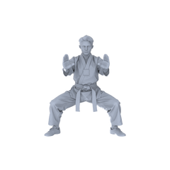 Detail view of MRY-SFW LYTR150B Modern Martial Arts Male Single in Horse Stance 1pc Model