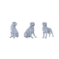 MRY-SFW LYTR535 Modern Labrador Retrievers Pose Group of 3 Miniature Car Diorama Figures Scene Props Accessories Resin 3D Printed Resin Model Kit by SSMODEL