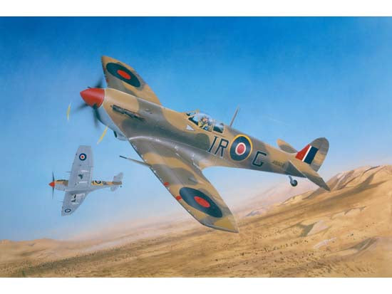 Trumpeter 1/24 02412 Spitfire Mk.VB/Trop — scale model kit