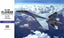 Hasegawa E44 1/72 Scale Model Kit Russian Air Force Sukhoi Su-35S Flanker 01574