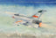 Trumpeter 02824 1/48 JJ-7 Trainer Aircraft Plastic Model Kit