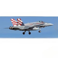 Hasegawa 02471 1/72 US F/A-18C Hornet VMFA-115 Silver Eagles