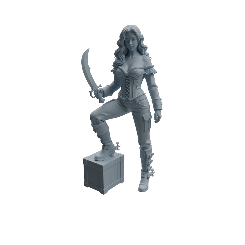 Detail view of MRY-SFW LYTR1096 Female Pirate Character Modern Model 4 pcs Model
