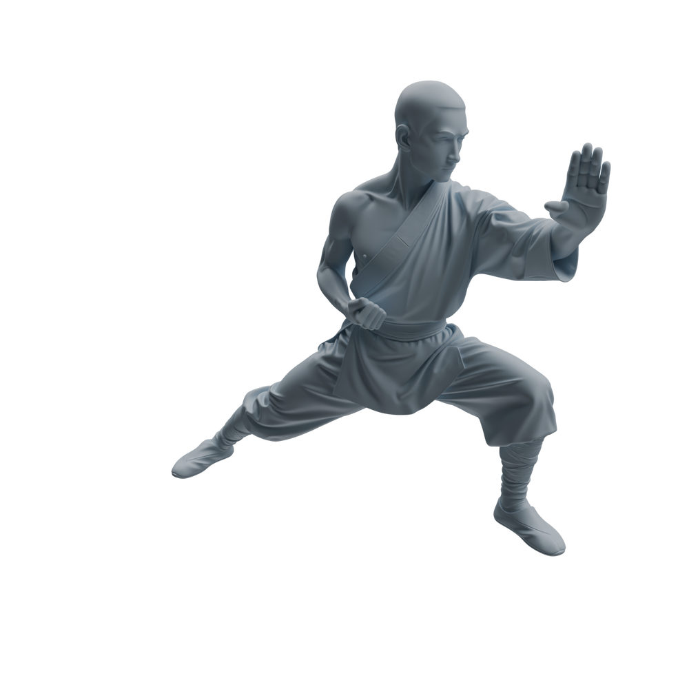 Detail view of MRY-SFW LYTR1076 Kung Fu Martial Monk Character Modern Model 3 pcs Model