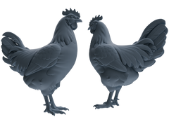 Detail view of MRY-SFW LYTR841 Rooster Pose Model 3 pcs Miniature Car Diorama Figures Scene Props Accessories Resin Model