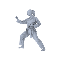 Detail view of MRY-SFW LYTR560 Modern Dojo Karate Practitioners Pose Group of 5 Miniature Car Diorama Figures Scene Props Accessories Resin Model