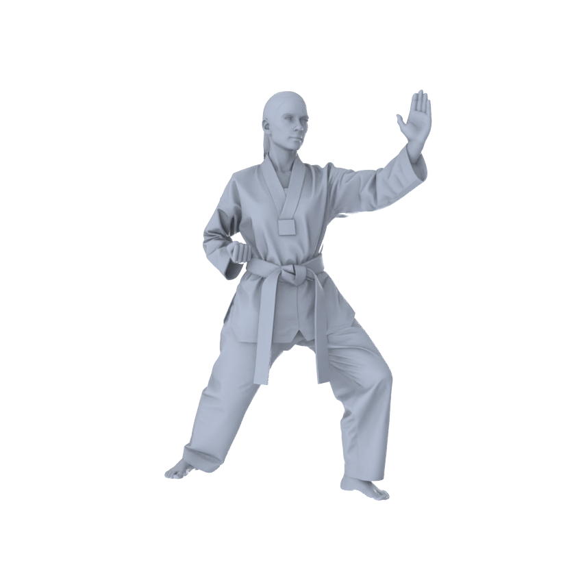 Detail view of MRY-SFW LYTR560 Modern Dojo Karate Practitioners Pose Group of 5 Miniature Car Diorama Figures Scene Props Accessories Resin Model