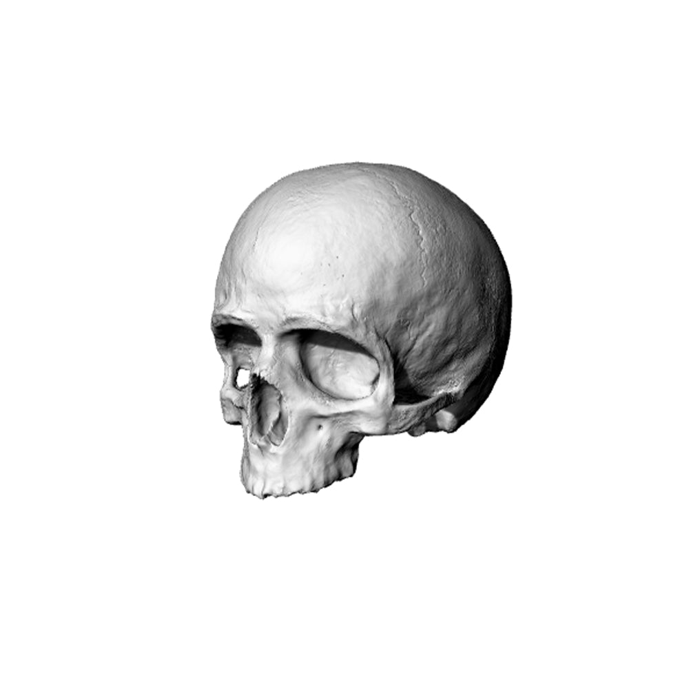 Yao's Studio LYT247 Skull HO/OO/Z/N/TT Railroad Miniature Accessory Display Props — detail view 2