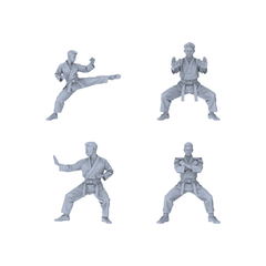 MRY-SFW LYTR150B Modern Martial Arts Male Single in Horse Stance 1pc 3D Printed Resin Model Kit by SSMODEL