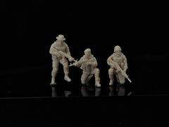 A 7-member modern peacekeeping force LSSNO151 1/35/48/64/72/87/100/144