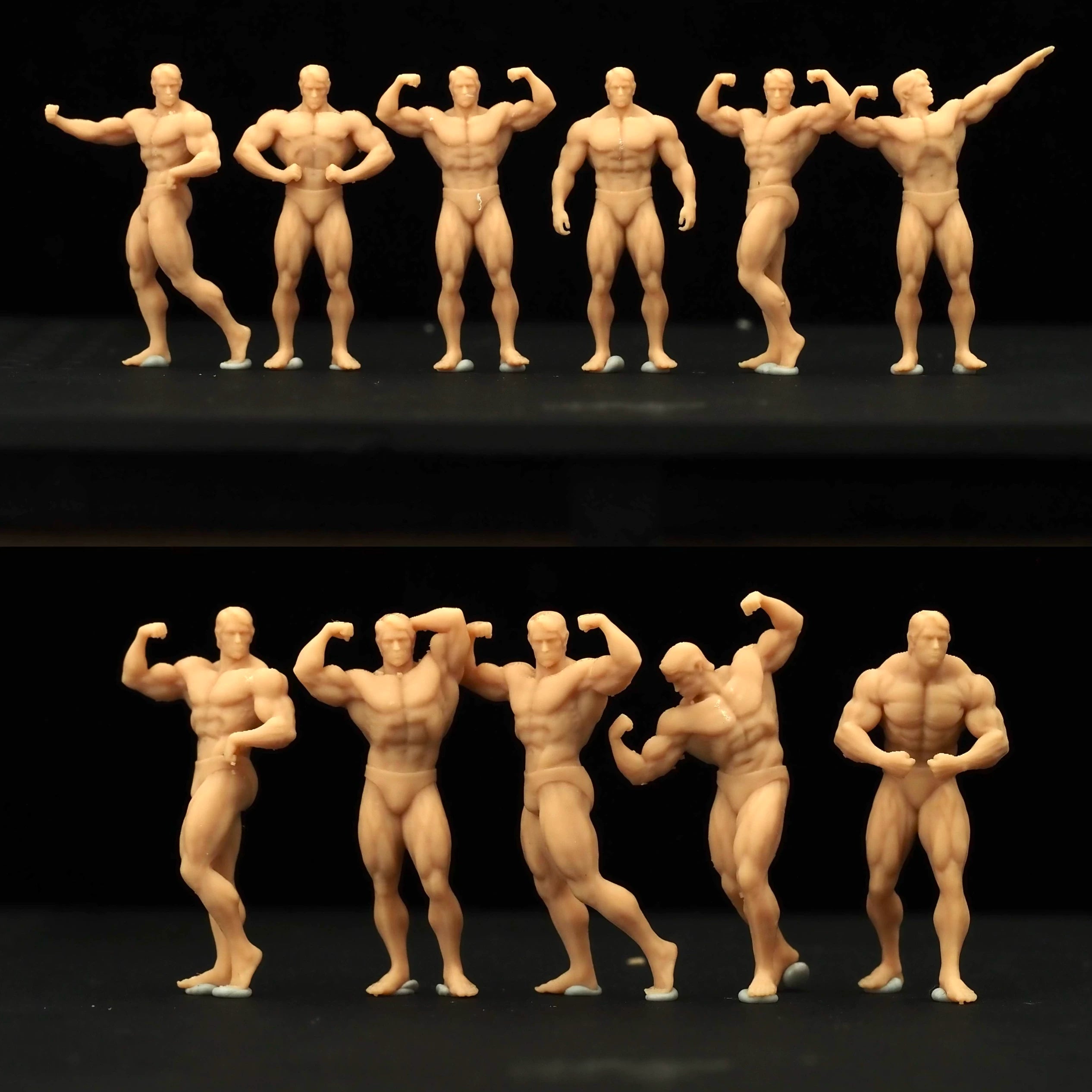 Classical Bodybuilding 11-Person Group LSSNO110 1/35/48/64/72/87/100/144