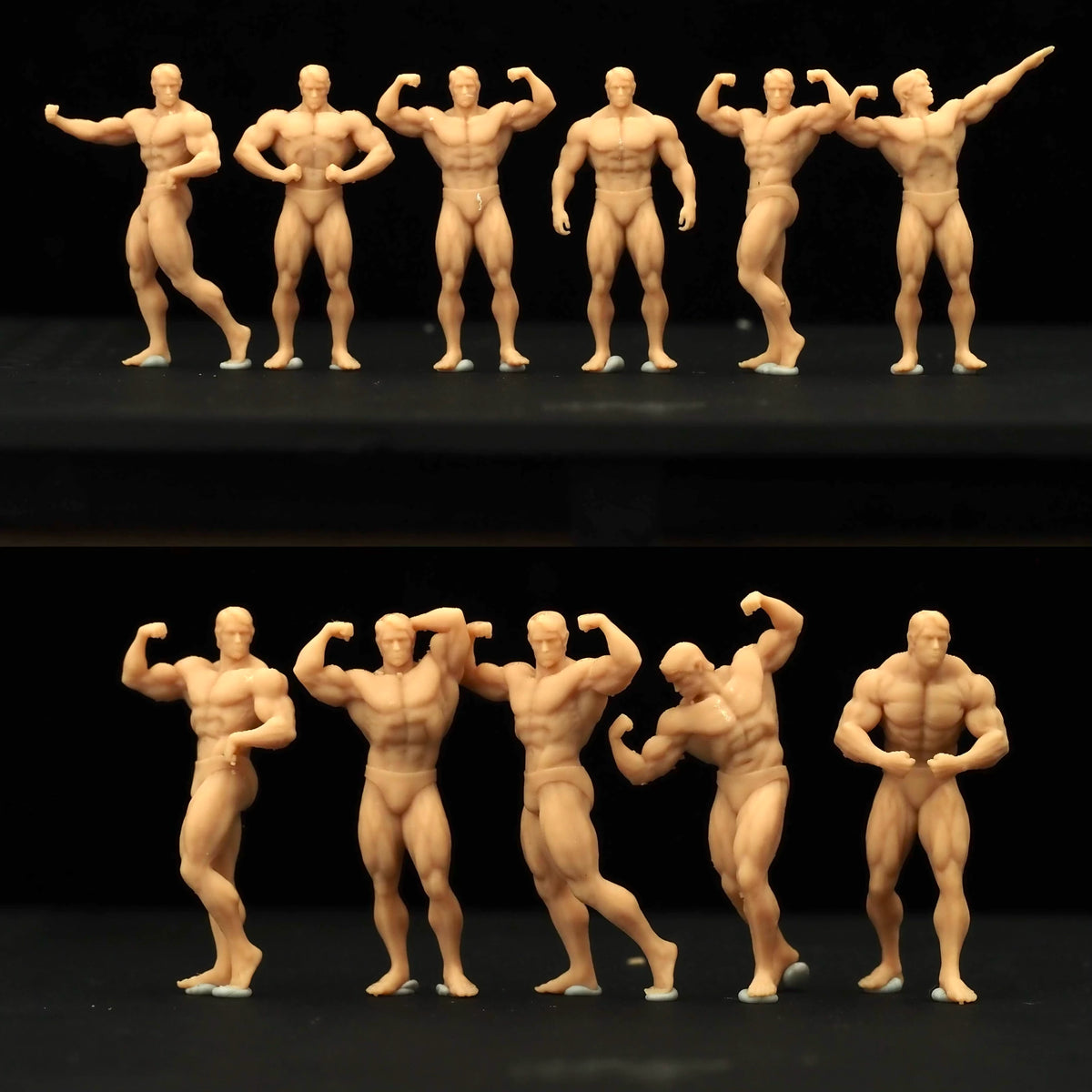 Classical Bodybuilding 11-Person Group LSSNO110 1/35/48/64/72/87/100/144