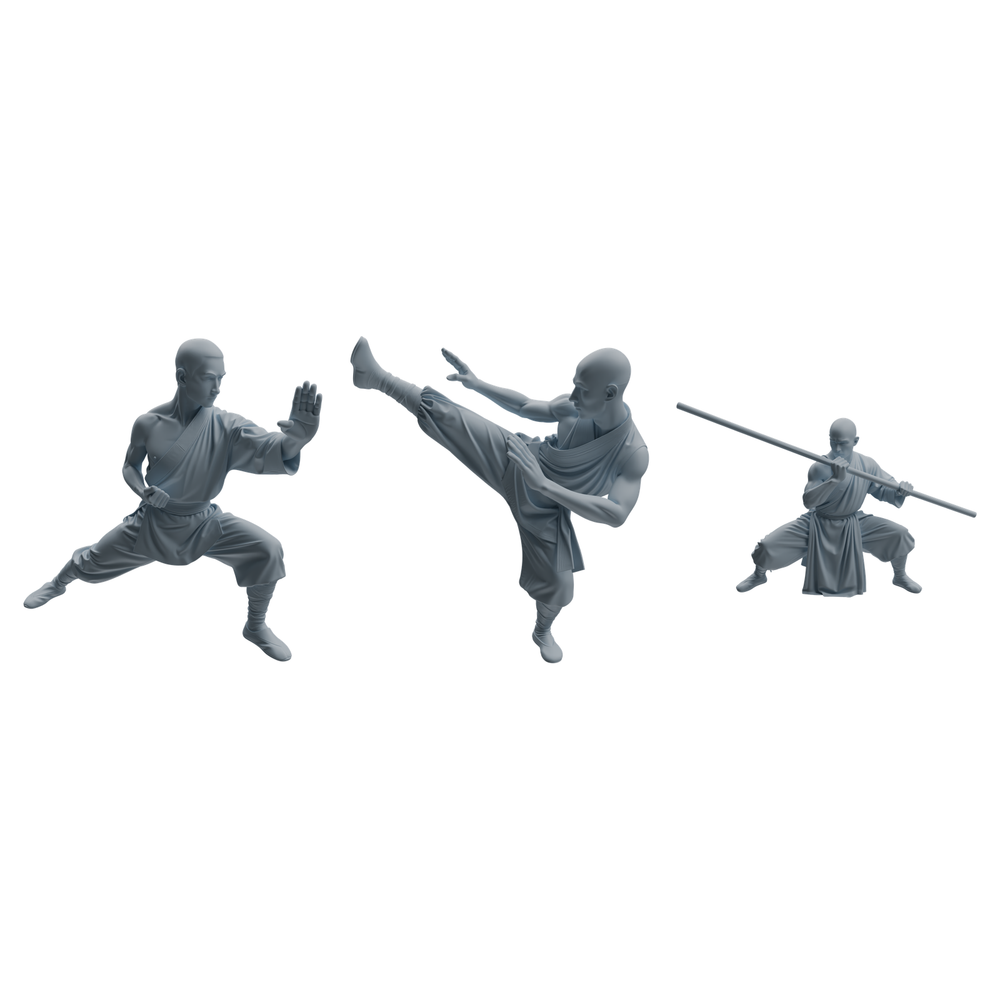 MRY-SFW LYTR1076 Kung Fu Martial Monk Character Modern Model 3 pcs 3D Printed Resin Model Kit by SSMODEL