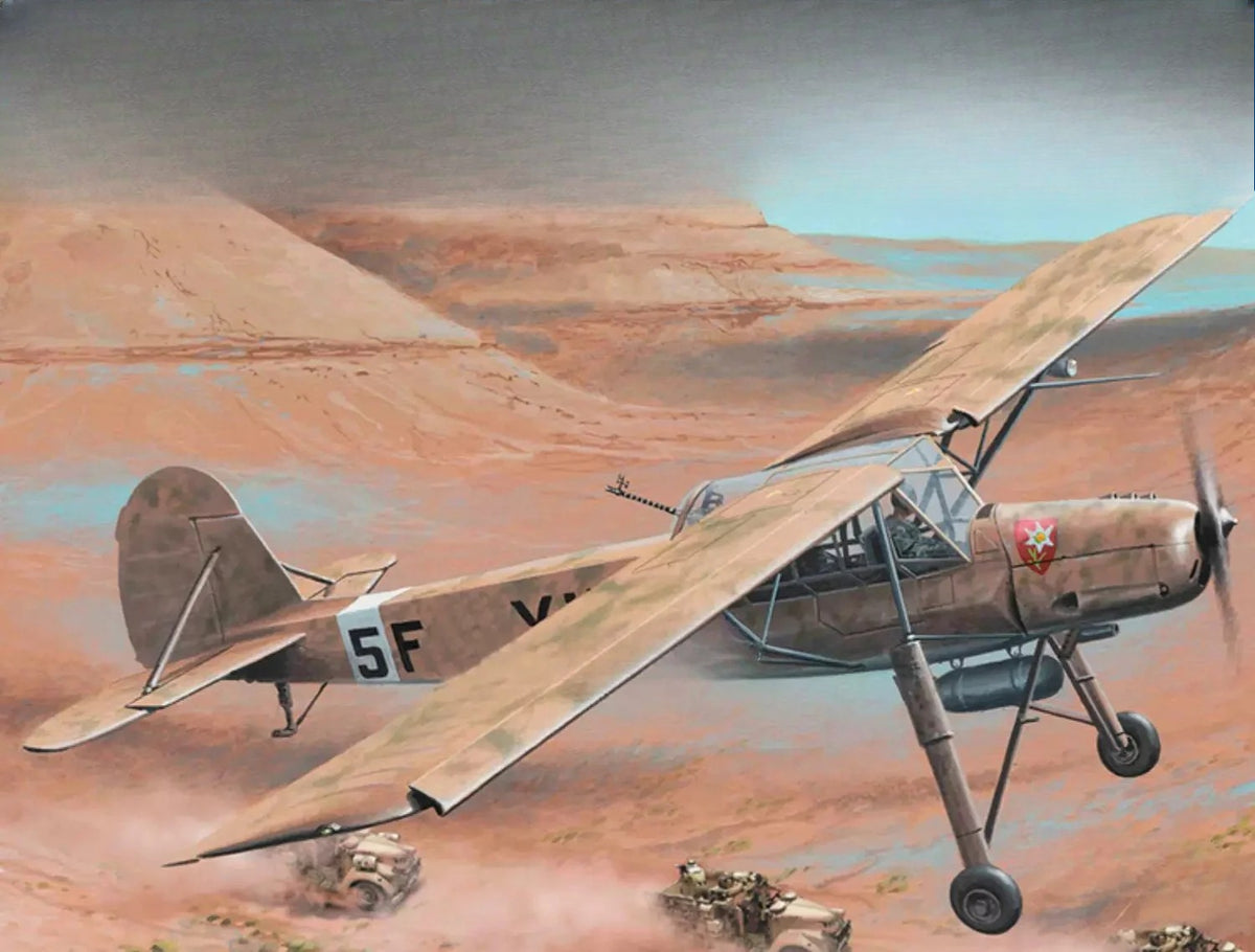 Trumpeter 1/35 German Fi-156 C-3 /TROP "White Stork" reconnaissance aircraft 80181