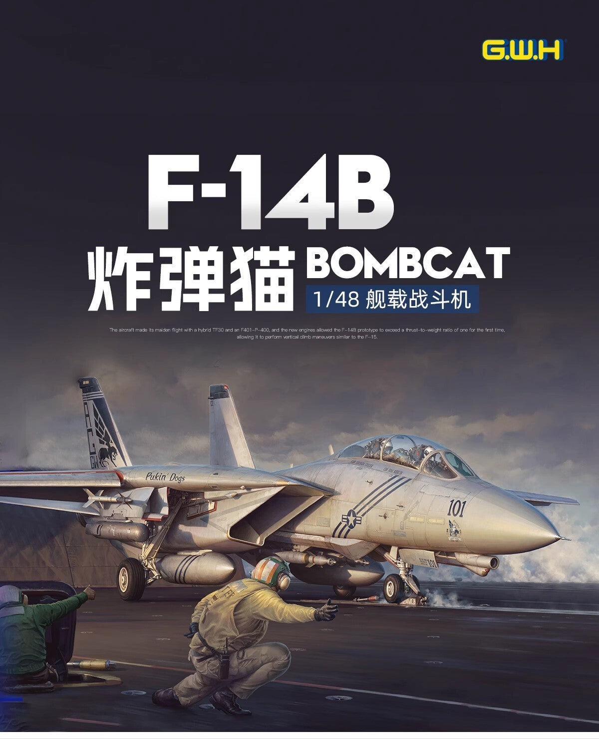 Great Wall Hobby L4833 1/48 F-14B BOMBCAT Main image