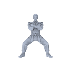 Detail view of MRY-SFW LYTR150B Modern Martial Arts Male Single in Horse Stance 1pc Model