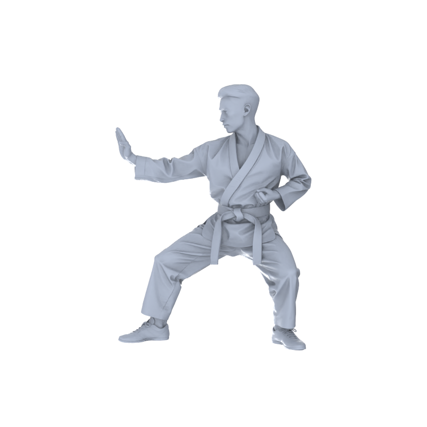Detail view of MRY-SFW LYTR150B Modern Martial Arts Male Single in Horse Stance 1pc Model