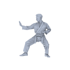 Detail view of MRY-SFW LYTR150B Modern Martial Arts Male Single in Horse Stance 1pc Model