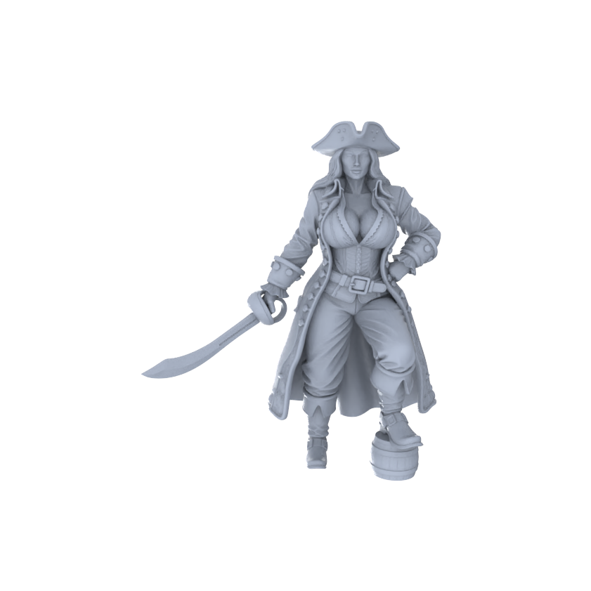 Detail view of MRY-SFW LYGR139 Knight And Pirate Resin White Model Wargame Miniature Soldier Scene Character Hand Figure Hand Painted Model